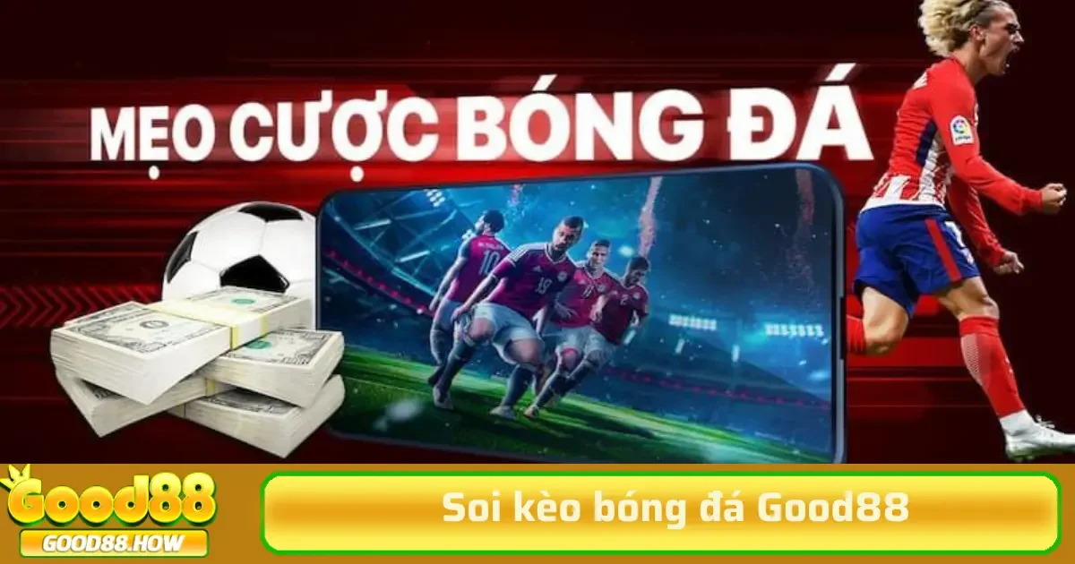 Soi kèo bóng đá 3 Khi soi kèo bóng đá, việc dựa vào dữ liệu thống kê là cách hiệu quả để nâng cao khả năng dự đoán chính xác.