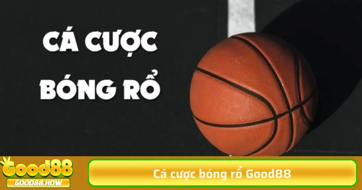 Các giải đấu lớn như NBA, Euroleague có tỷ lệ cược và tỷ lệ ăn cược khác nhau dựa trên mức độ phổ biến và mức độ cạnh tranh của trận đấu.