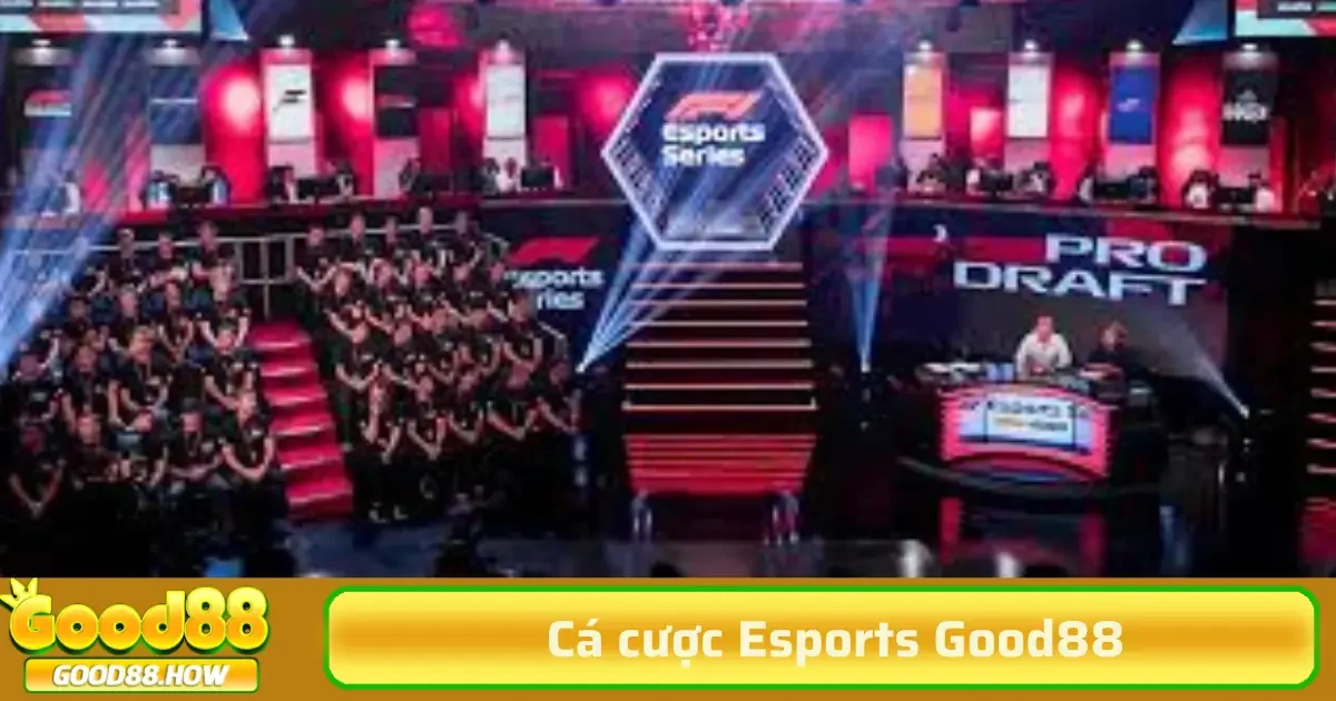 Cá cược Esports hay còn gọi là cá cược thể thao điện tử, là hoạt động đặt cược vào kết quả của các trận đấu hoặc giải đấu thể thao điện tử.
