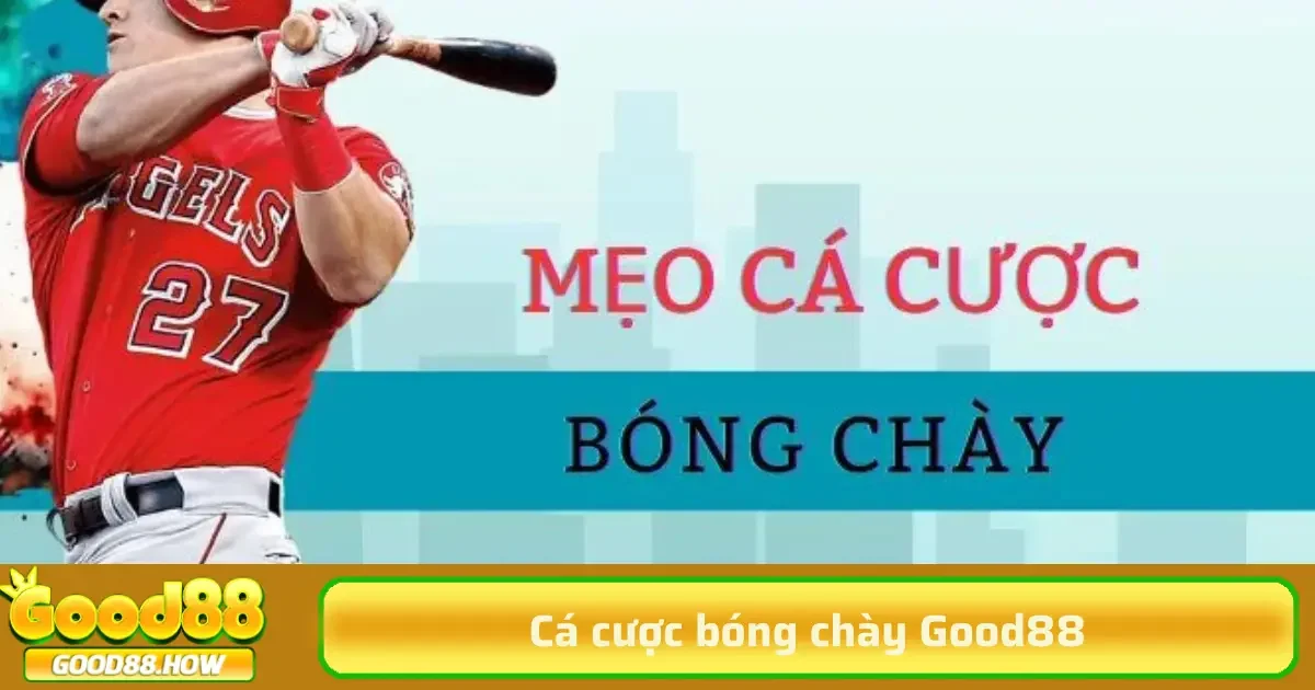 Cá cược bóng chày 1 Để bắt đầu với Cá cược bóng chày, người chơi cần nắm rõ các hướng cược chính như cược điểm từng lượt, cược cược trận đấu, cược theo đội thắng – thua hay các kèo chấp.