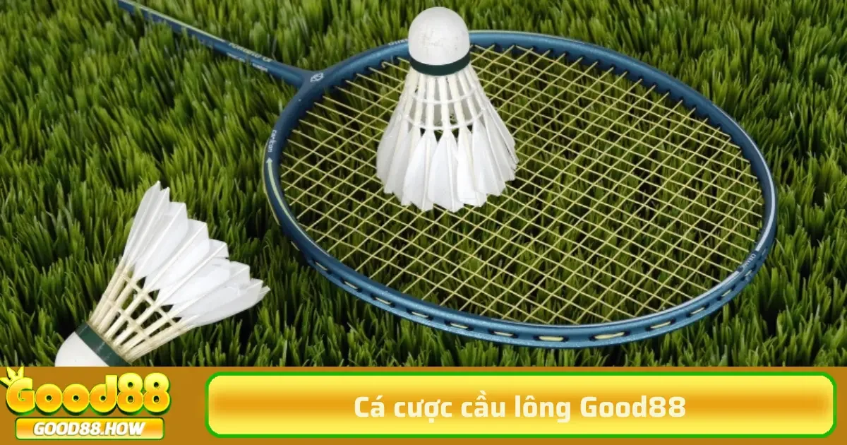Cá cược cầu lông 2 Kèo thắng set là hình thức đặt cược dựa trên kết quả từng set đấu. Người chơi dự đoán xem tay vợt nào sẽ thắng trong từng set hoặc thắng toàn bộ trận.