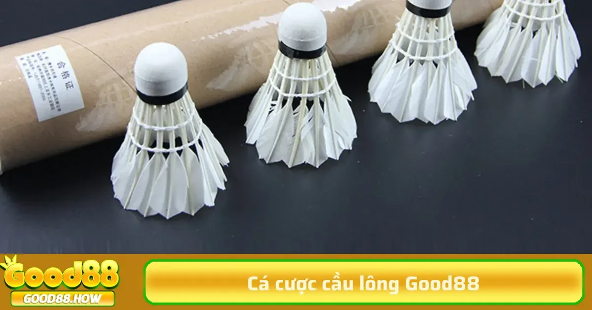 Cá cược cầu lông 3 Các yếu tố như phong độ, thể lực, đối đầu, điều kiện thi đấu, và chấn thương đều ảnh hưởng đến kết quả trận đấu.