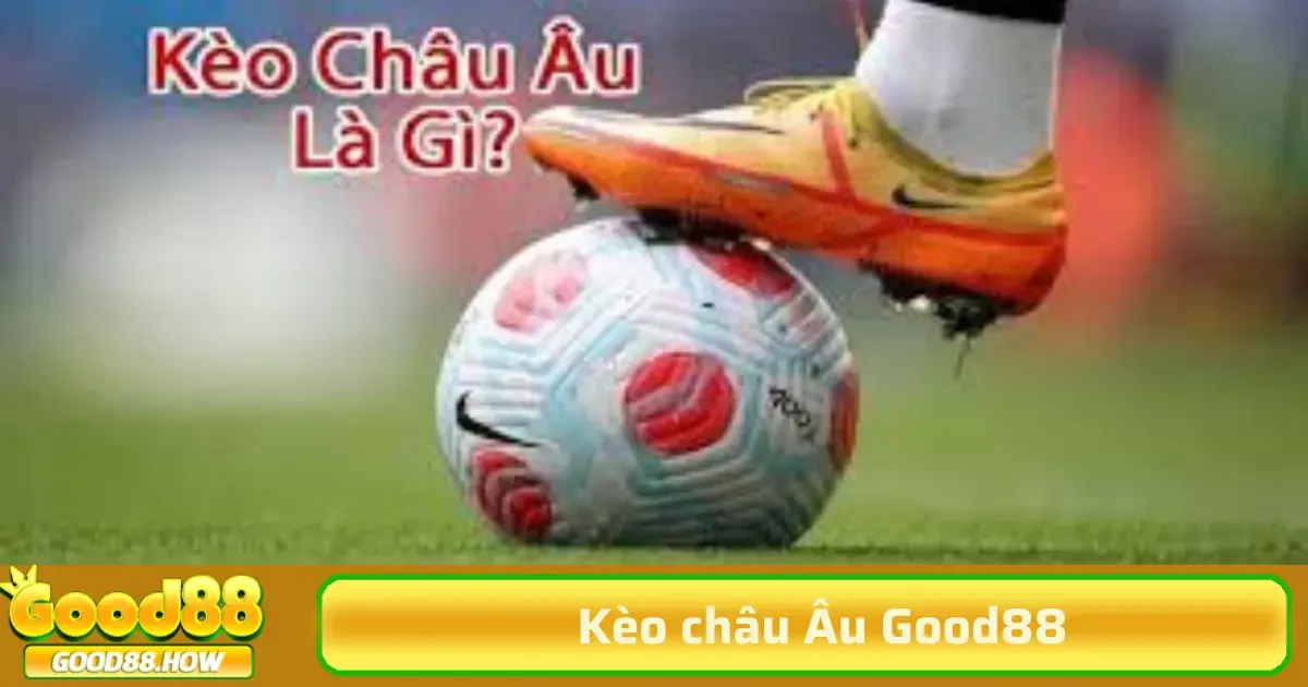Kèo Châu Âu 2 Người chơi đặt cược đúng tỷ lệ này sẽ nhận được phần thưởng tương ứng dựa vào số tiền đã cược nhân với tỷ lệ cược.