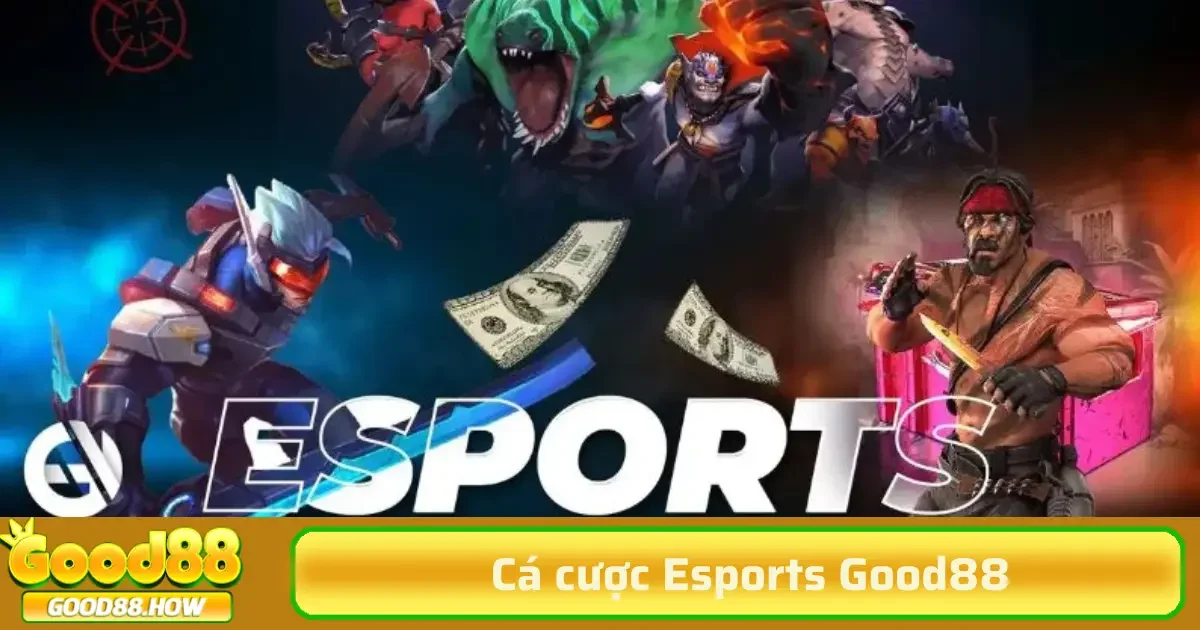 Cần lưu ý, chơi cá cược Esports phải có trách nhiệm, không tham lam quá đà, tránh các rủi ro về tài chính và tâm lý.